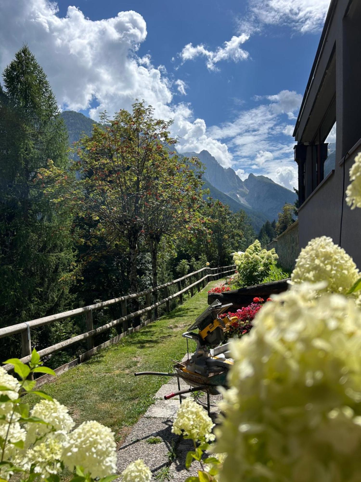 Residence Larici Belvedere Folgarida Luaran gambar